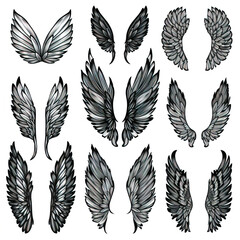 Set of abstract feather wings icons vector illustratio