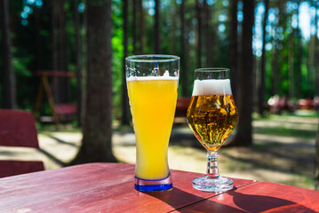 Glasses of light beer on the wooden table.Glass of beer in nature.