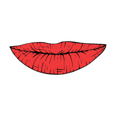 red female lips sketch vector illustration line art