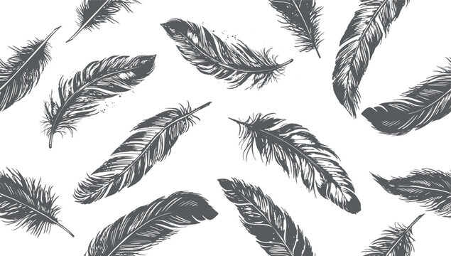 Hand drawn feather on white background	
