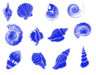 Fototapeta na wymiar Set of silhouettes of sea cockleshells isolated on white background. Vector shells. Blue shells