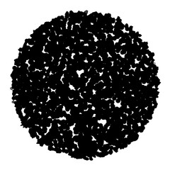 The black circle is formed by the connection of colored lines.