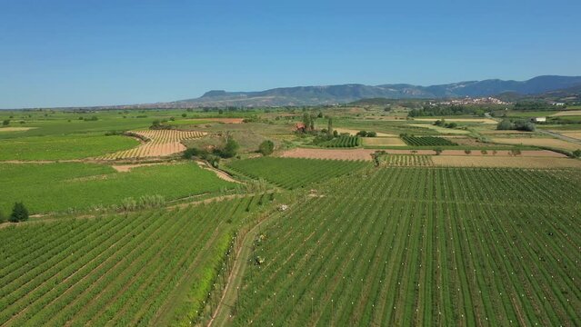 Flight Over Vineyards near Navarrete, Spain
