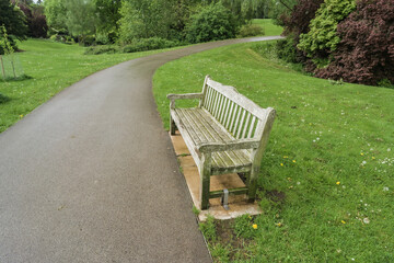 Wide angle view of a wooden park bench with pathway, travel and tourism concept illustration.