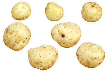 young potato isolated from background