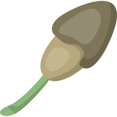 Branch Young Buds Decor