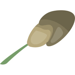 Branch Young Buds Decor