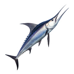 Naklejka premium fish isolated on transparent background cutout
