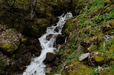 Beautiful view of mountain stream running near stones covered with moss outdoors