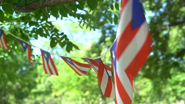 Puerto Rican Flag