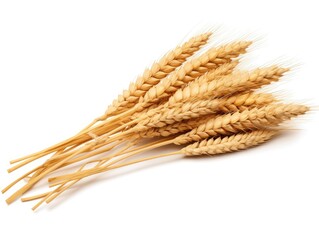 Ear of Wheat on White Background
