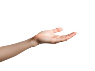 Female Hand Isolated on White Background