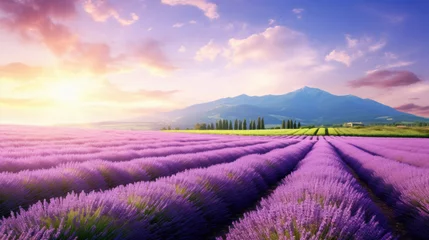 Zelfklevend Fotobehang landscape with lavender field © mimadeo