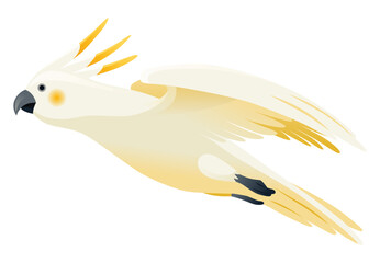 Parrot animation. Exotic adorable fauna character flight. White sulphur crested cockatoo. Animated tropical bird flying © designer_things