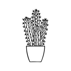 Doodle cactus in pot. Vector illustration