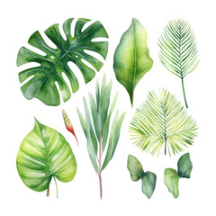 set of leaves watercolor isolated on transparent background cutout
