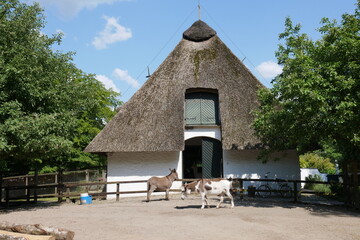 Tiergehege mit Pferden und Bauernhaus im Bürgerpark Bremen