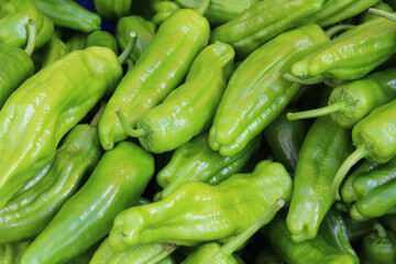 healthy food green peppers on market