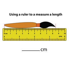 Measuring length in centimeters paint brush. with the ruler. Education developing worksheet. Game for kids. Puzzle for children. Vector illustration. cartoon style.