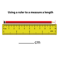 Measuring length in centimeters with the ruler. Education developing worksheet. Game for kids. Puzzle for children. Vector illustration. cartoon style. - obrazy, fototapety, plakaty