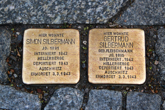 Dresden, Germany - June 27, 2023: Stolpersteine (Stumbling stones), a 10-cm concrete cubes bearing a brass plate inscribed with the name and life dates of victims of Nazi extermination or persecution.