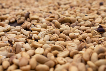 Partially blurred photo of green coffee beans for background