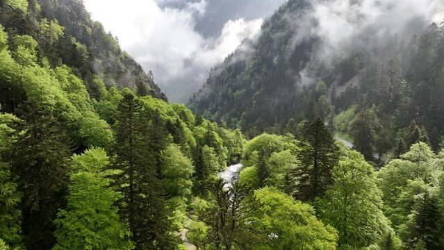 Typical fresh mountain landscape with a cascading waterfall running through.