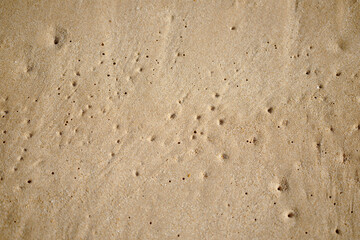 Wet Sand texture. Sandy ocean beach for background. Top view