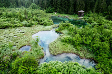 Fototapeta na wymiar Zelenci Nature Reserve in Slovenia. Mountain wetlands with spring-fed turquoise lake , rare plants & wading birds. Aerial drone view.
