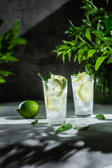 Cocktail with lemon and mint on a dark background. Lemonade