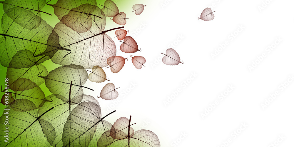 Wall mural leaf skeletons with veins and cells on white background