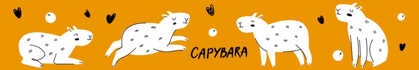 Horizontal illustration of the capybara collection, hand-drawn in doodle style