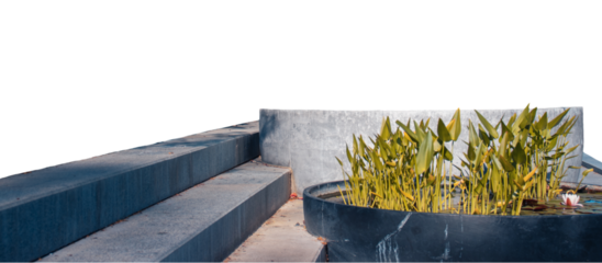 View of a garden pond filled with aquatic plants, sunshine morning isolated PNG photo with transparent background.