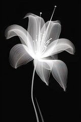 abstract lily, black and white illustration. Generative AI