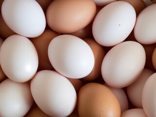 white and bron eggs  background