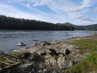 Stones on the coast of fast river and forest
