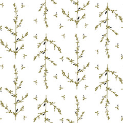Wildflower seamless pattern, botanical illustration, branch with leaves and flowers isolated on white background, hand drawn vector illustration.