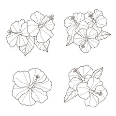 Set of hibiscus flowers, vector illustration, on white background, botanical element, for wedding invitation design, postcards