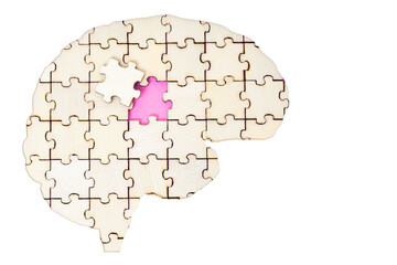Jigsaw Puzzle Pieces Arranged into a Human Brain Shape