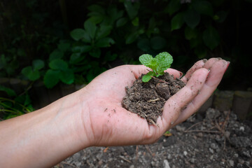 A woman with her hand holding a handful of soil with plant seeds.