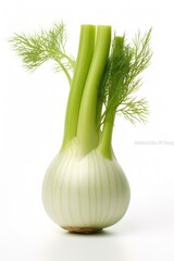 A close up of a fennel with a stalk of fennel in it created with Generative AI technology