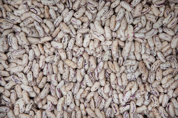 Top view full frame background of dried uncooked white bean seeds stacked together.