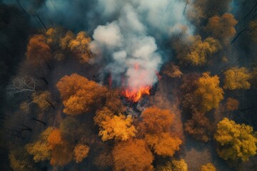 Top view of raging forest fire. Rapidly spreading wildfire. Generative AI