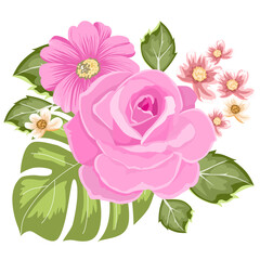 flowers  pink  vector for decoration , wedding card , design