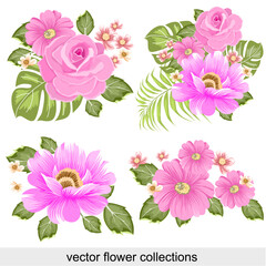 flower  pink collections vector for decoration , wedding card