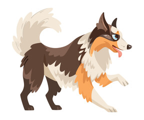 Fototapeta na wymiar Border Collie Dog Breed with Thick Coat Vector Illustration