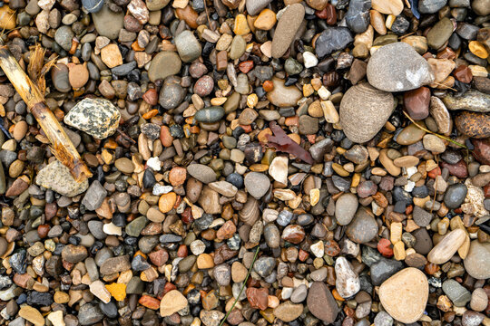 Colorful wet pebbles on the beach