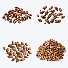 Beautiful Pine nuts in solid background, vector illustration
