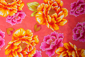 Chita © Andréa Franco