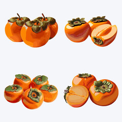 Persimmon fruit set. Vector illustration of ripe persimmon fruit.